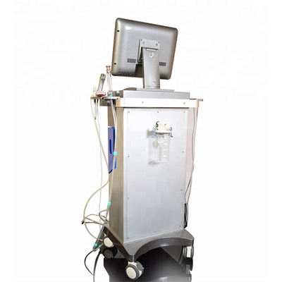 240v黒の頭部の顔の皮ヒュドラのDermabrasion機械